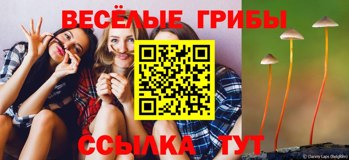 Галлюциногенные грибы MAGIC MUSHROOMS Чита