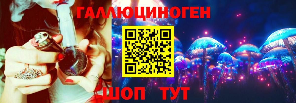 Псилоцибиновые грибы Psilocybine cubensis  Вход с VPN  сколько стоит  Псилоцибиновые грибы ЛСД  Чита 