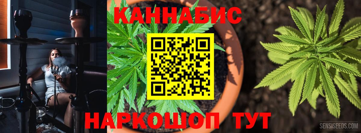 Канабис ГИДРОПОН  Конопля White Widow  Вход с VPN  Чита  Марихуана сатива 